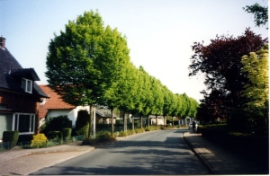 F0301 Burg Galleestraat 2003